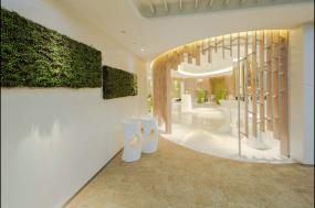 東南亞風(fēng)格spa會(huì)所裝修效果圖大全