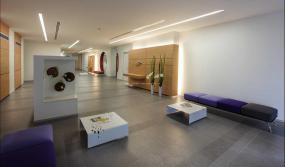 貿(mào)易公司辦公室最新室內(nèi)裝飾設(shè)計圖片