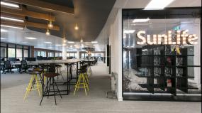 貿(mào)易公司吊頂裝修實(shí)景圖圖片