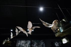 商務(wù)酒店裝飾設(shè)計(jì)圖