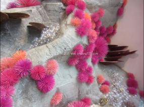 服裝店櫥窗精裝修設計圖片