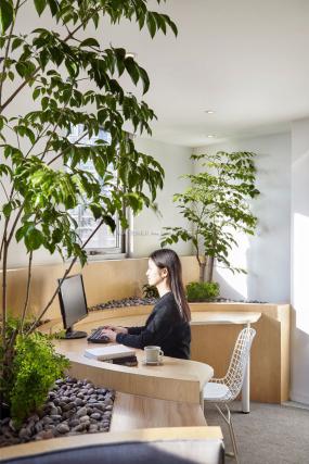 書房辦公室設(shè)計效果圖片案例